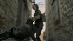 extant_GameOfThrones_5x02-TheHouseOfBlackAndWhite_4630