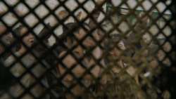 extant_GameOfThrones_5x03-HighSparrow_0409