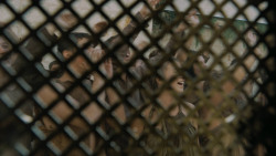 extant_GameOfThrones_5x03-HighSparrow_0410