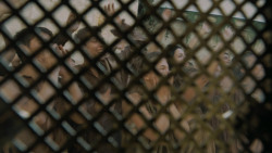 extant_GameOfThrones_5x03-HighSparrow_0411