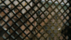 extant_GameOfThrones_5x03-HighSparrow_0412