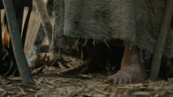 extant_GameOfThrones_5x03-HighSparrow_4739