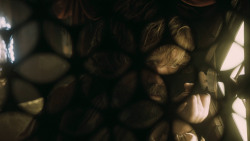 extant_GameOfThrones_5x03-HighSparrow_5464
