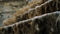 extant_GameOfThrones_5x04-SonsOfTheHarpy_0854