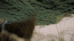 extant_GameOfThrones_5x04-SonsOfTheHarpy_3658