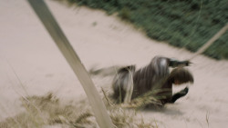 extant_GameOfThrones_5x04-SonsOfTheHarpy_3659