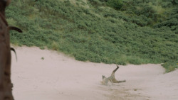 extant_GameOfThrones_5x04-SonsOfTheHarpy_3709