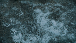 extant_GameOfThrones_5x05-KillTheBoy_2187