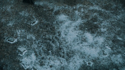 extant_GameOfThrones_5x05-KillTheBoy_2188