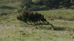 extant_GameOfThrones_5x06-UnbowedUnbentUnbroken_1662