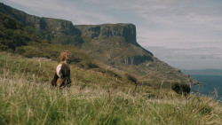 extant_GameOfThrones_5x06-UnbowedUnbentUnbroken_1770