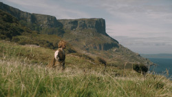 extant_GameOfThrones_5x06-UnbowedUnbentUnbroken_1771