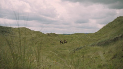 extant_GameOfThrones_5x06-UnbowedUnbentUnbroken_2962