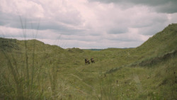 extant_GameOfThrones_5x06-UnbowedUnbentUnbroken_2963