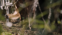 extant_GameOfThrones_5x06-UnbowedUnbentUnbroken_3492