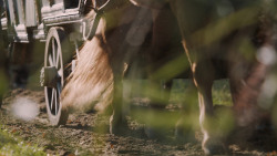 extant_GameOfThrones_5x06-UnbowedUnbentUnbroken_3493
