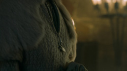 extant_GameOfThrones_5x06-UnbowedUnbentUnbroken_5398