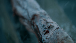 extant_GameOfThrones_5x07-TheGift_1371