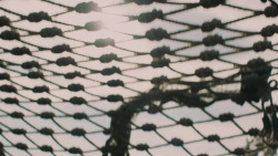 extant_GameOfThrones_5x08-Hardhome_0809