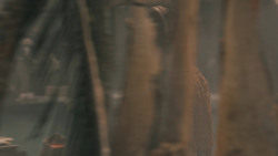 extant_GameOfThrones_5x08-Hardhome_0822