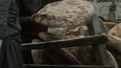 extant_GameOfThrones_5x08-Hardhome_0843