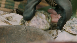 extant_GameOfThrones_5x08-Hardhome_0901
