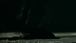 extant_GameOfThrones_5x08-Hardhome_2746