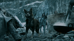 extant_GameOfThrones_5x08-Hardhome_4408