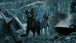 extant_GameOfThrones_5x08-Hardhome_4409