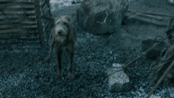extant_GameOfThrones_5x08-Hardhome_4451