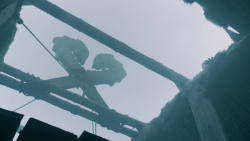 extant_GameOfThrones_5x08-Hardhome_4775