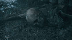 extant_GameOfThrones_5x08-Hardhome_4819