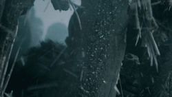 extant_GameOfThrones_5x08-Hardhome_4972