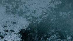 extant_GameOfThrones_5x08-Hardhome_5555