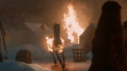 extant_GameOfThrones_5x09-TheDanceOfDragons_0105