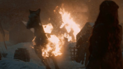 extant_GameOfThrones_5x09-TheDanceOfDragons_0107