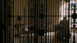 extant_GameOfThrones_5x09-TheDanceOfDragons_2707