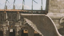 extant_GameOfThrones_5x09-TheDanceOfDragons_3575