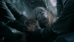 extant_GameOfThrones_5x10-MothersMercy_0259