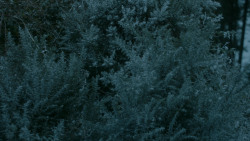 extant_GameOfThrones_5x10-MothersMercy_0917