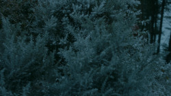 extant_GameOfThrones_5x10-MothersMercy_0918