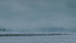 extant_GameOfThrones_5x10-MothersMercy_1135
