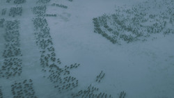 extant_GameOfThrones_5x10-MothersMercy_1209