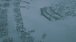 extant_GameOfThrones_5x10-MothersMercy_1210