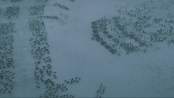 extant_GameOfThrones_5x10-MothersMercy_1211