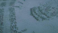 extant_GameOfThrones_5x10-MothersMercy_1212