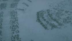 extant_GameOfThrones_5x10-MothersMercy_1213