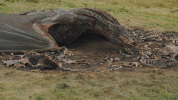 extant_GameOfThrones_5x10-MothersMercy_3870