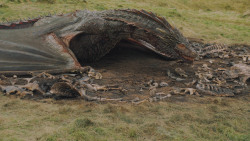 extant_GameOfThrones_5x10-MothersMercy_3871