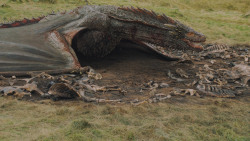 extant_GameOfThrones_5x10-MothersMercy_3872